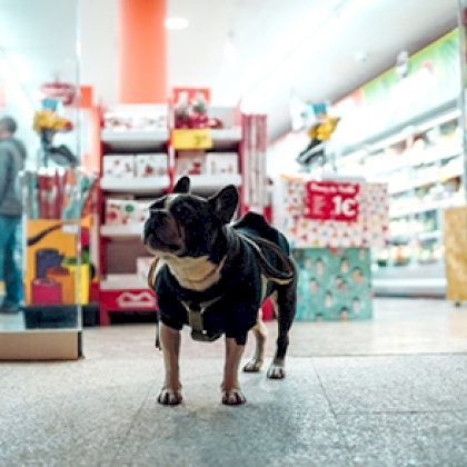 Süpermarket-Petshop